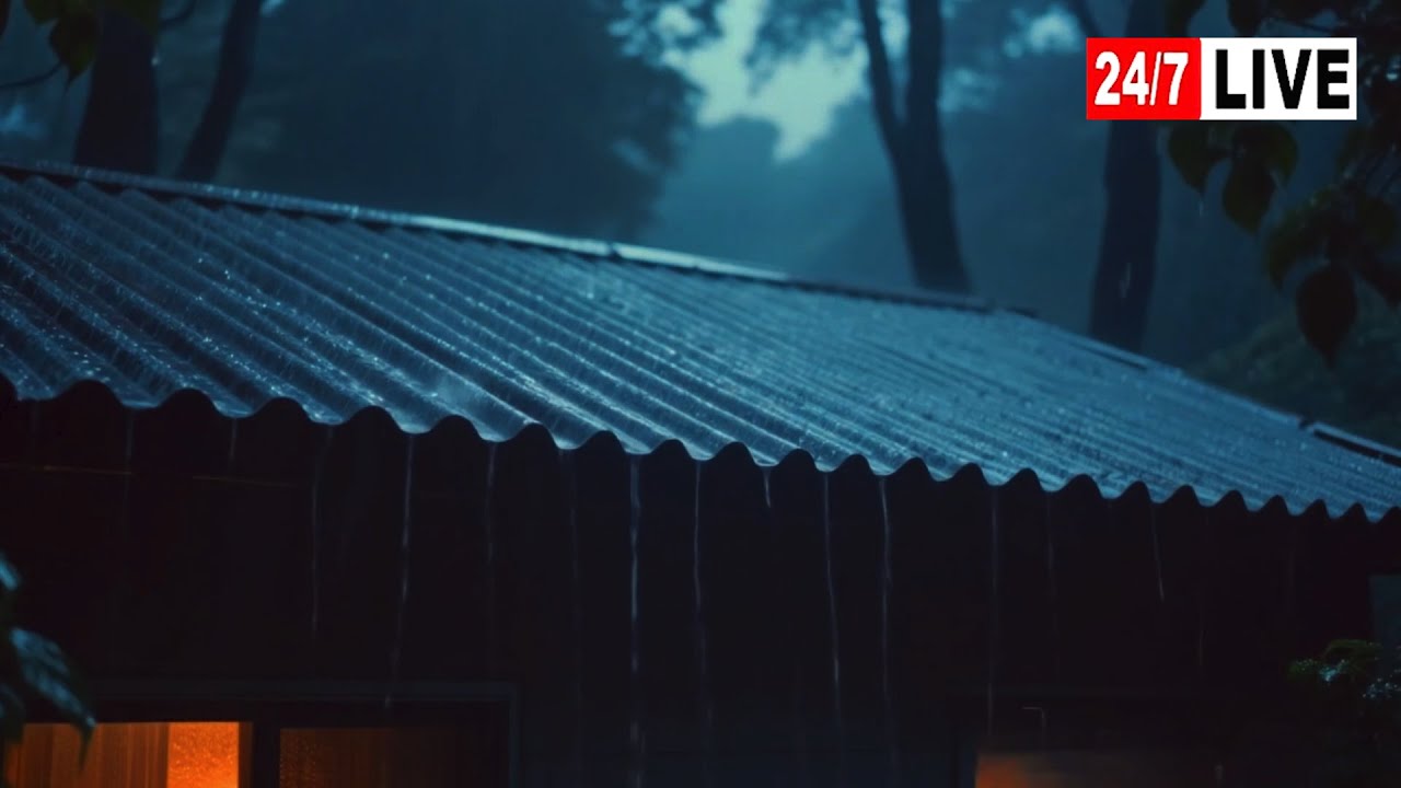 Barulho de Chuva para Dormir ⛈ Som de Chuva Relaxar e Trovão à Noite para Relaxar #79 Sleep Sounds