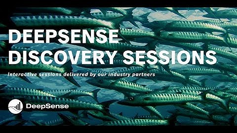 DeepSense Discovery ~ ReelData