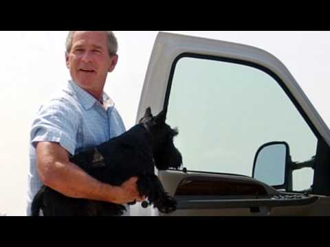 Video: Ex-första Dog Barney Bush Dead Vid 12