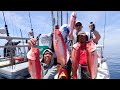 銭洲Liveルアー探索2026/05/19 伊豆とび島丸