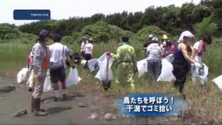 鳥たちを呼ぼう！干潟でゴミ拾い
