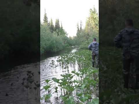 Video: Tunguska (rijeka): opis