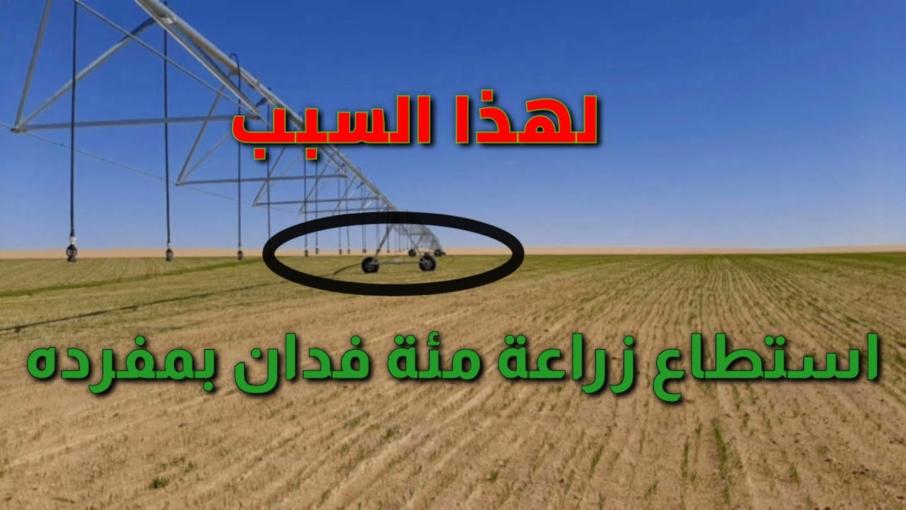 أقوى إنجاز بالزراعة في الفرافرة____٠١٠٩٧٠٤٠٩٤٧