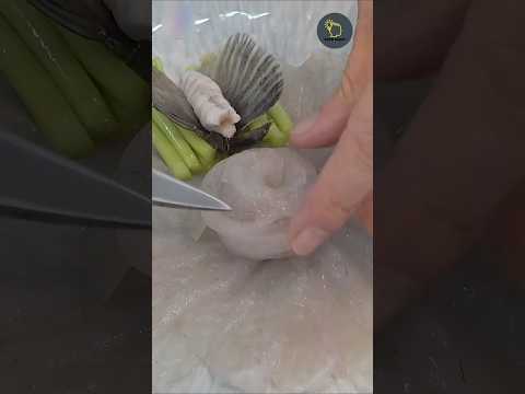 سمكة الفوجو سم في طبقك معلومات  هل تعلم سمك بحر ترند حيوانات  ثقافة