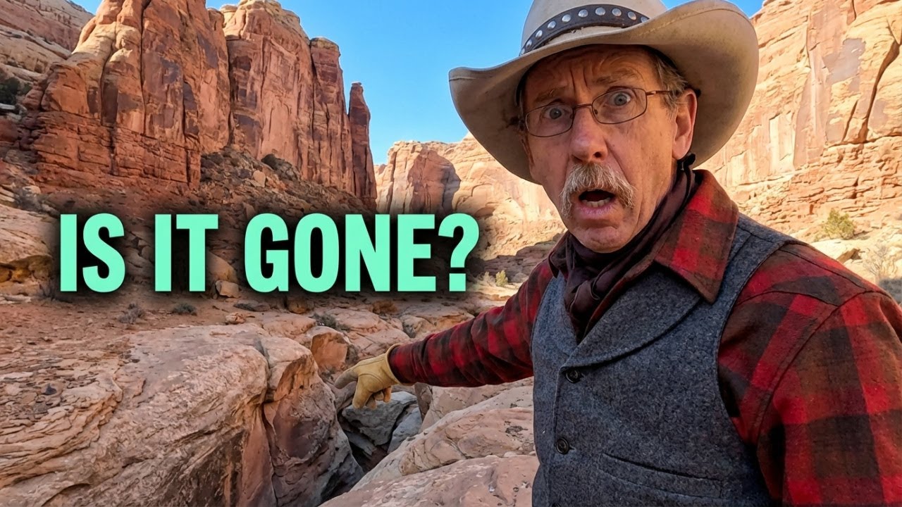 Desert Bighorn Deadhead Gone? What We Found