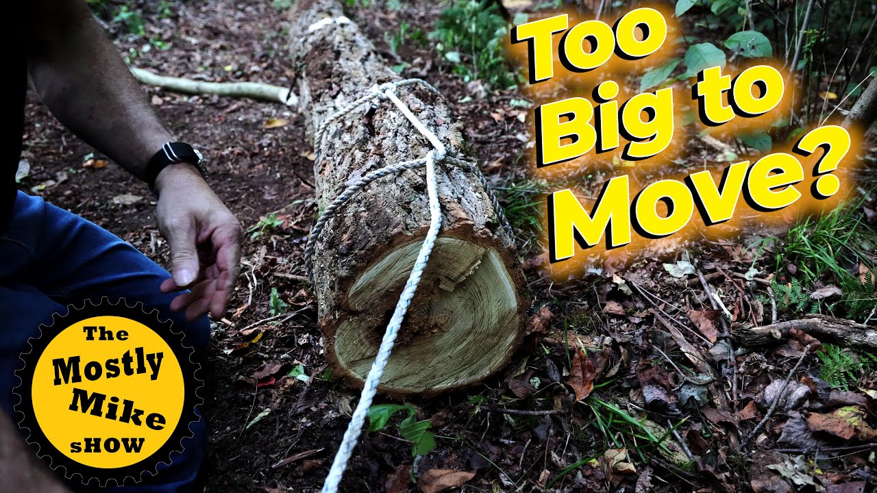 How To Move Heavy Logs...No Tools!  #Shorts