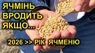 картинка: ЯЧМІНЬ 2026 Чи буде ціна? Чим годувати ячмінь, щоб він годував вас? 
