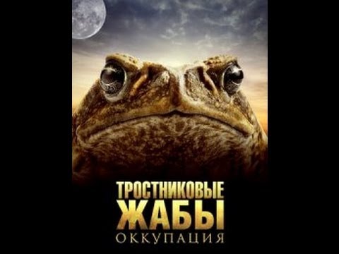 Тростниковые жабы: Оккупация