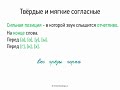 Твердые и мягкие согласные (5 класс, видеоурок-презентация)