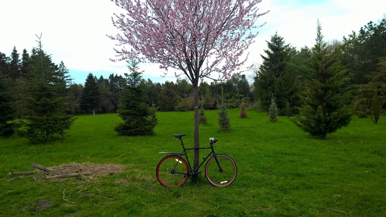 Еду на фиксе на работу. Pure Fix ECHO PLUS