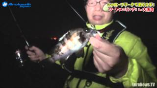 サーフメバリングIn大阪湾　シャローフリークで釣りすぎ！