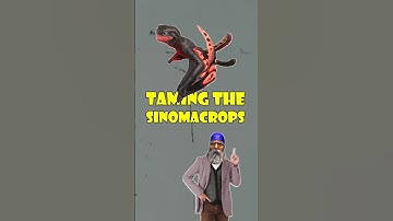 Ark Sinomacrops