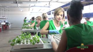 Area Verde Vivai Promofestival 2017