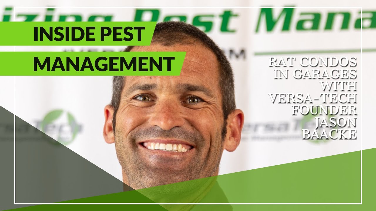 Inside Pest Management with VersaTech® Rodents Build a Condo in a