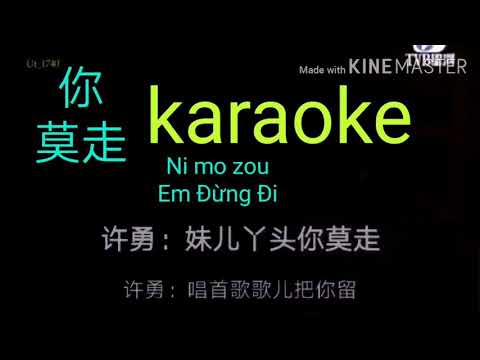 KARAOKE 你莫走 - Ni mo zou karaoke pinyin