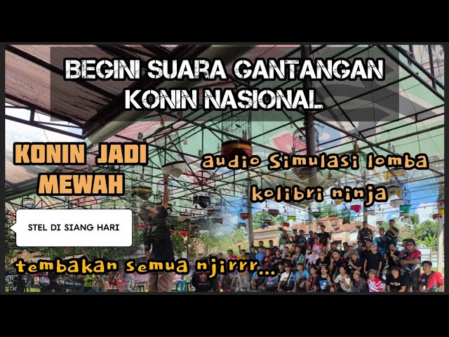 SIMULASI KONIN LOMBA NASIONAL.🏆🏆🏆 class=