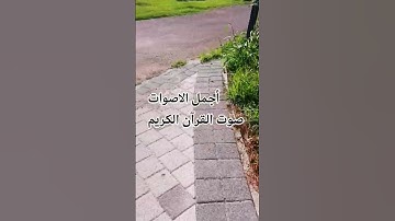 سوره النور بصوت الشيخ ماهر المعيقلي تلاوه خاشعة #راحة_نفسية #تصويري#الرحمن قران كريم بصوت جميل 🌺