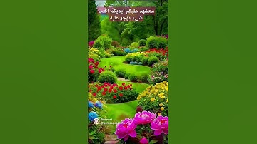 فواتح سوره الحشر بصوت الشيخ القارئ فارس عباد #اكسبلور #القران 💚❤️💚❤️