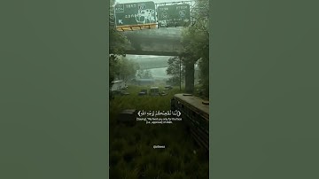 أرح قلبك ❤️ سورة الإنسان #القارئ_إسلام صبحي