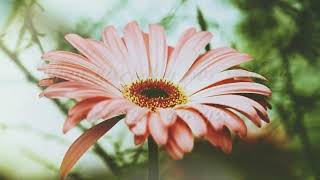 Mensagens De Boa Noite Para Amiga