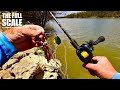 Landbased golden perch lure fishing  the full scale