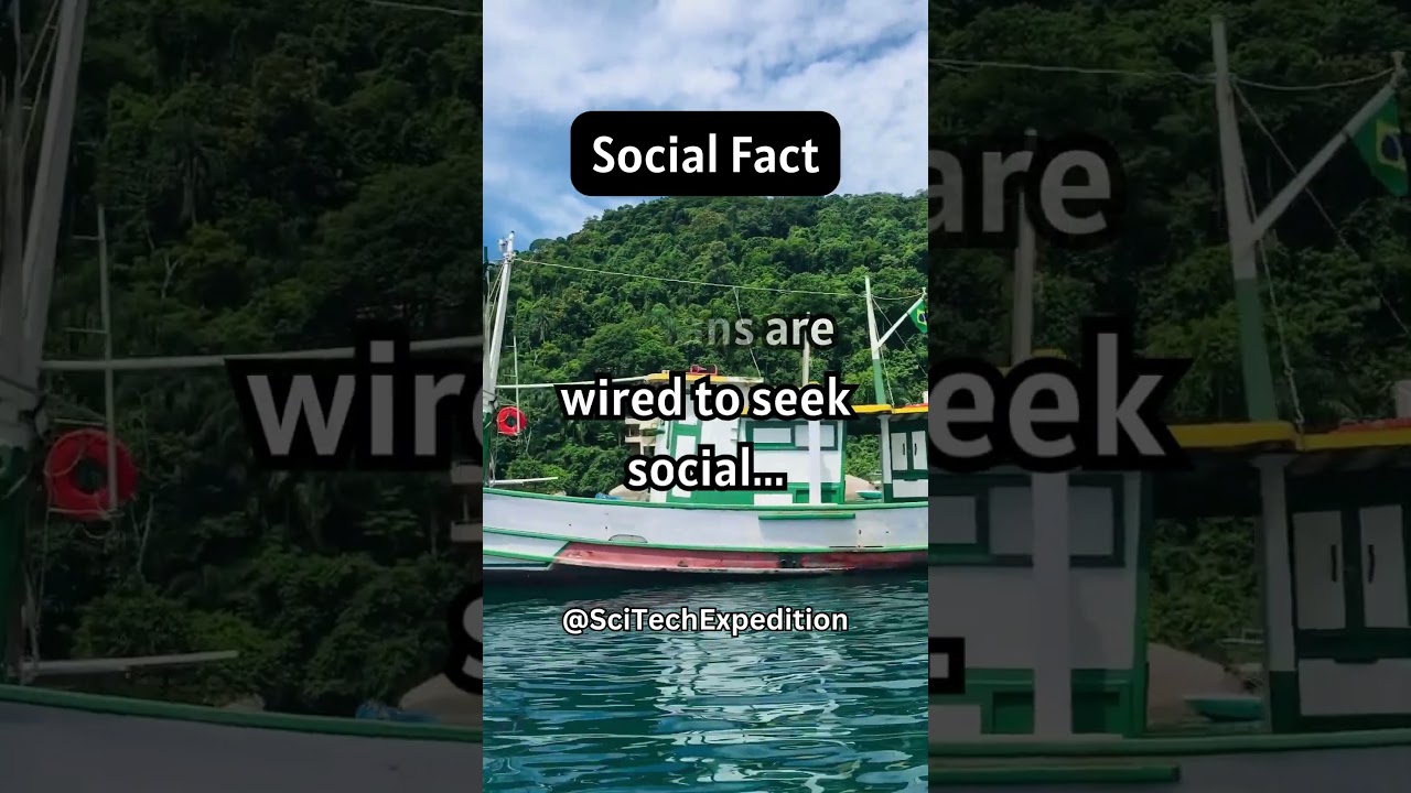 This is why you need to socialise 