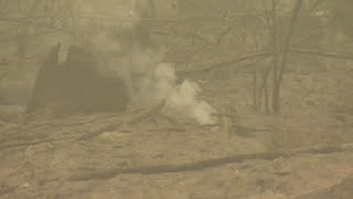 Assessing the destruction of the Beachie Creek Fire in Marion County