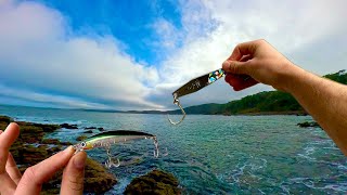 Are Malosi lures worth the money??? (comparing Malosi lures to halo, Daiwa and more!)