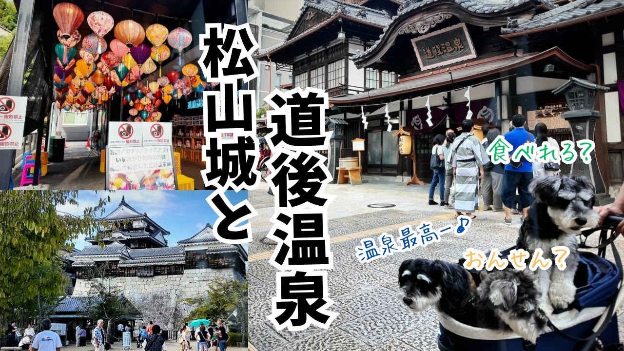 【愛犬とお出かけ】松山城まで歩いて登って、雰囲気最高の道後温泉を愛犬と散策しました！