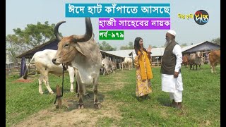 Deepto Krishi/দীপ্ত কৃষি- ঈদে হাট কাঁপাতে আসছে হাজী সাহেবের নায়ক |নাটোর | deepto tv
