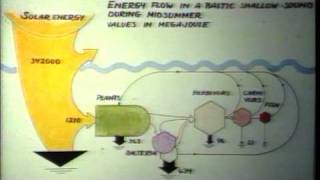 English for environmental science. Unit 6