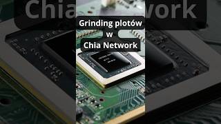 Grinding plotów w Chia Network