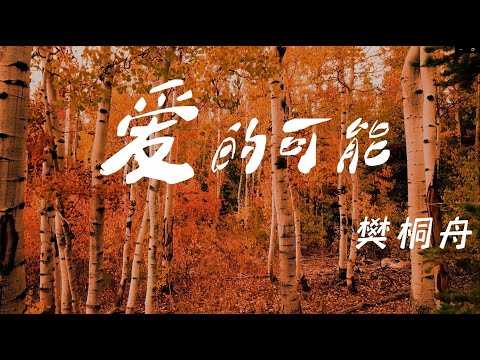 爱的可能 樊桐舟
