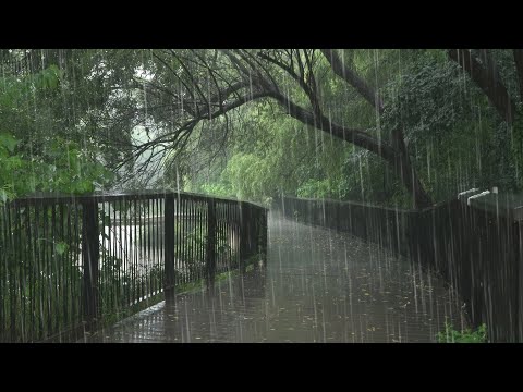 잠잘오는 수면 유도 빗소리 <strong>asmr</strong> - 한적한 숲속 공원길 에서 불면증에좋은 백색소음 자장가 10시간 <strong>연속</strong>