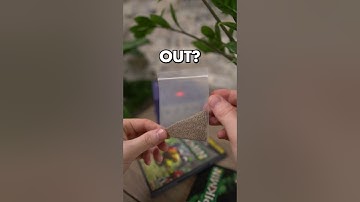 1/100 copies of Pikmin included this