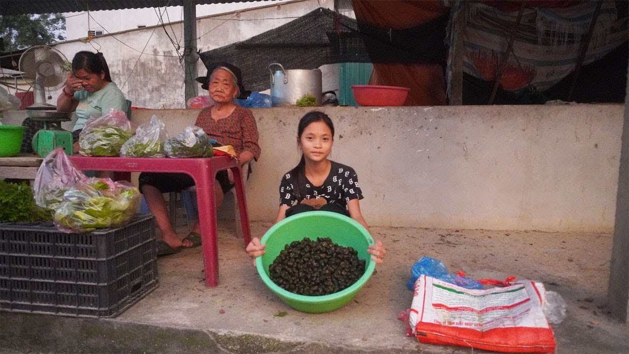 Picking up copper snails to sell in the market - Poor girl in everyday ...