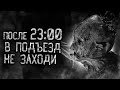 ПОСЛЕ 23:00 В ПОДЪЕЗД НЕ ЗАХОДИ. ФИНАЛ! Страшные истории на ночь. Страшилки. Жуткие истории