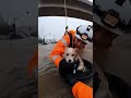 Rope Rescue! Dog Stranded on Floating Tire in Massive City Flood #dog #rescue #shorts#youtubeshorts