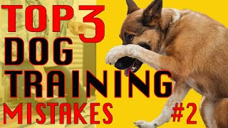 3 MISTAKES in Dog Training and How to AVOID Them #2   DOWN from SIT