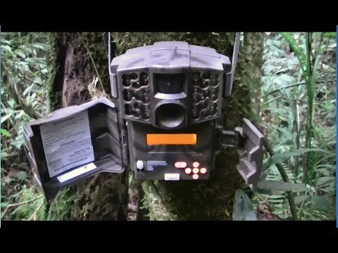Serra do Japi - Base Buraco da Onça - Recuperação de Vídeos de Câmeras de Trilha