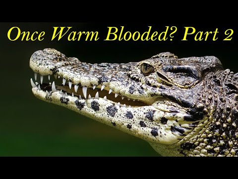 Warm Blood Crocodiles? The Endothermic Ancestry of Crocodilians. Part 2: Evolutionary History