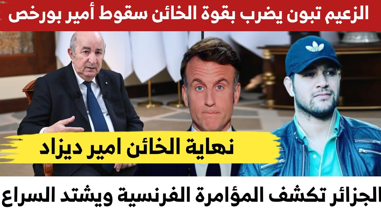 الزعيم تبون يضرب بقوة: سقوط الخـ،ـائن أمير بورخص والاكتشاف الصادم للعبة الفرنسية 
