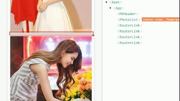 vue js 入门与实战 十一天课程day9 08 项目 美化图片列表并实现懒加载效果