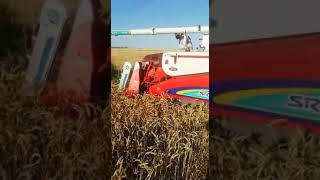 Японская мини сельхоз техника