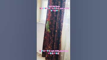 تلاوه خاشعه من الذكر الحكيم #اكسبلور #cutebird #birds #foryou #parrot #ترند cutebird