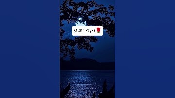 تلاوة خاشعة لسعود الشريم 🌹#قران #سعود_الشريم