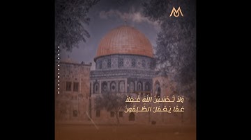 حالات واتس عبدالرحمن مسعد " سورة إبراهيم " | Ibrahim🖤✨