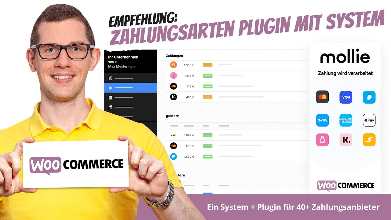 Update WooCommerce Zahlungsarten Plugin 💶 Mollie Zahlungssystem für WooCommerce + andere Shop Systeme