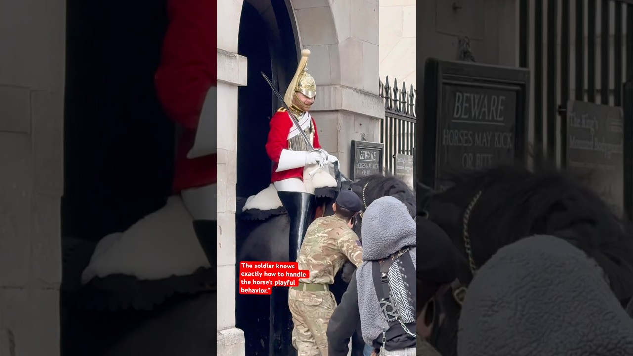 Солдат точно знает, как справиться с игривым поведением лошади