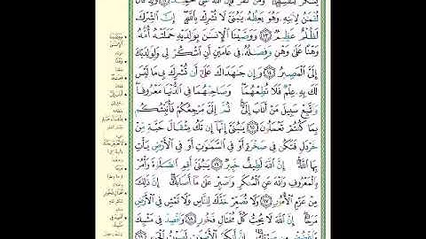 الصفحة 412 من المصحف الشريف  سورة لقمان   مشروع حفظ القرآن الكريم